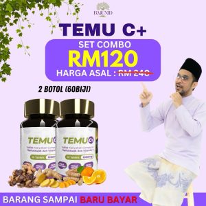 Set Combo Temu C+